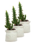 Mini Çiçek Saksı Küçük Sukulent Beyaz Kaktüs Saksısı 3lü Set Kese Model